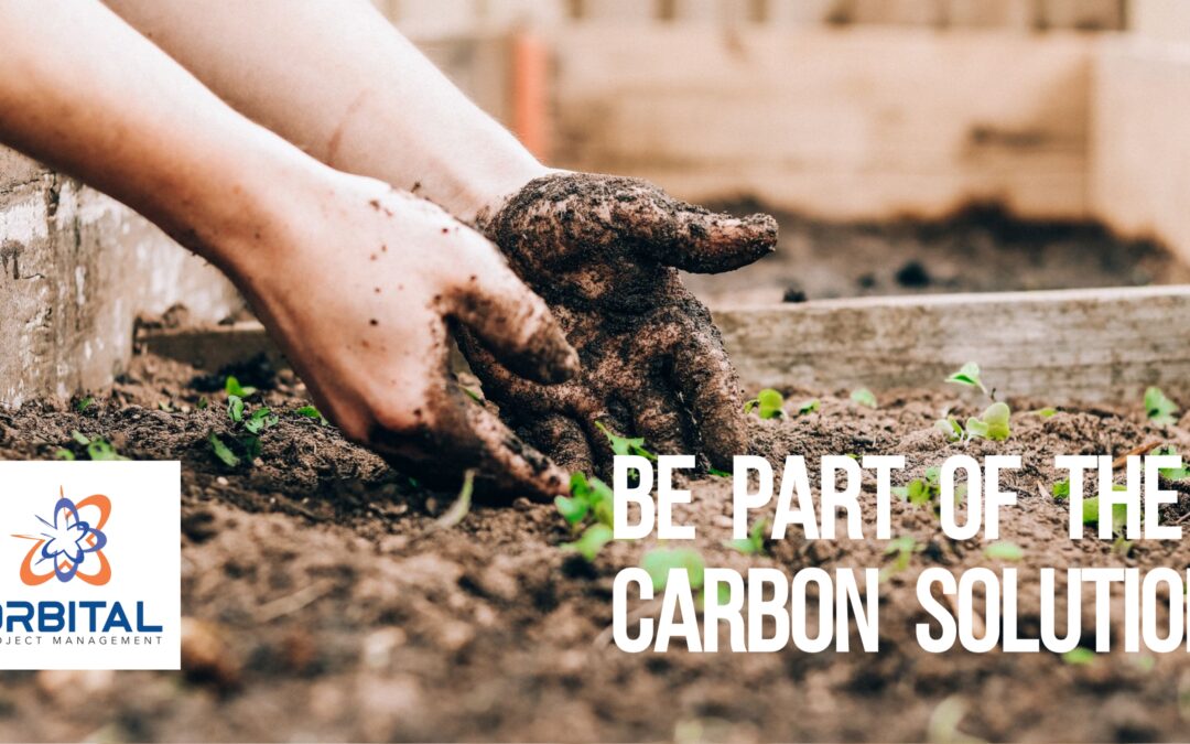 Backyard Gardens & Your Carbon Footprint